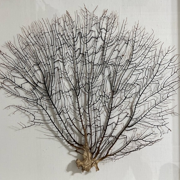 Meet your Posher, Cheryll - Picture 1 of 1